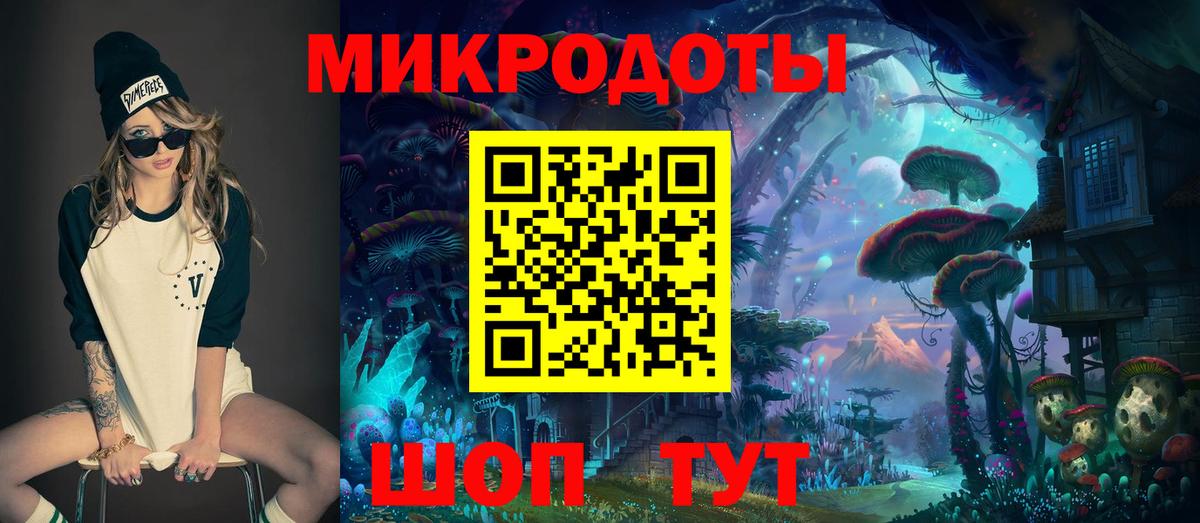 Псилоцибиновые грибы Psilocybe Людиново