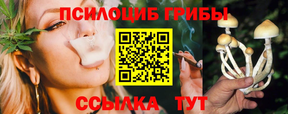 Людиново  Псилоцибиновые грибы Magic Shrooms  продажа наркотиков  Вход с VPN 